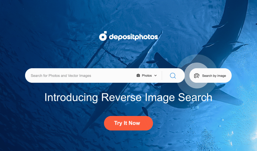 Reverse image search
